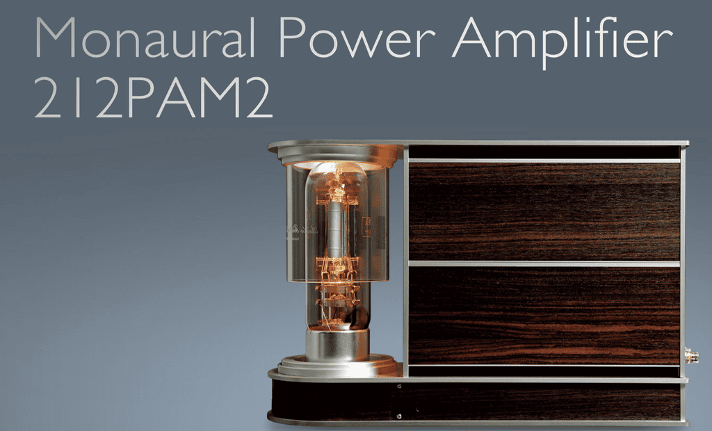 CSPort 212PAM2 - Powermpli đèn mono chạy bóng đèn siêu to 212E, nâng cấp toàn bộ dàn tụ ảnh 1