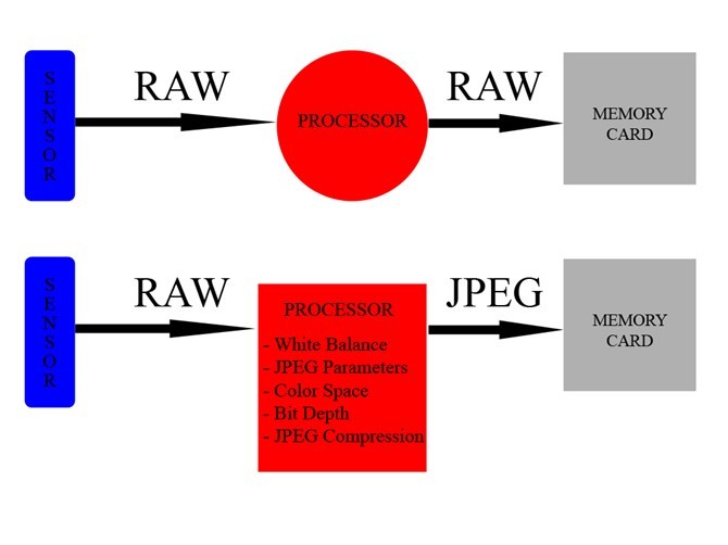Tìm hiểu định dạng ảnh RAW và JPEG (phần2) ảnh 15