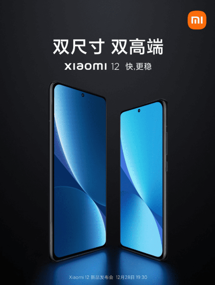 Xiaomi 12 sẽ chỉ có 2 phiên bản?  ảnh 1