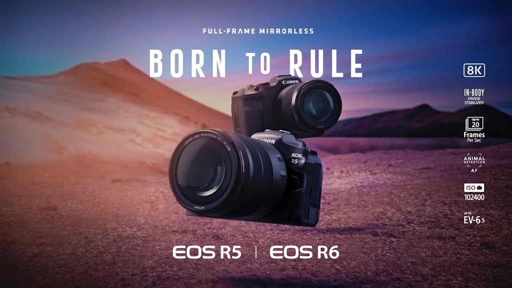 Canon EOS R6, máy ảnh không gương lật tốt nhất của Canon ? ảnh 4