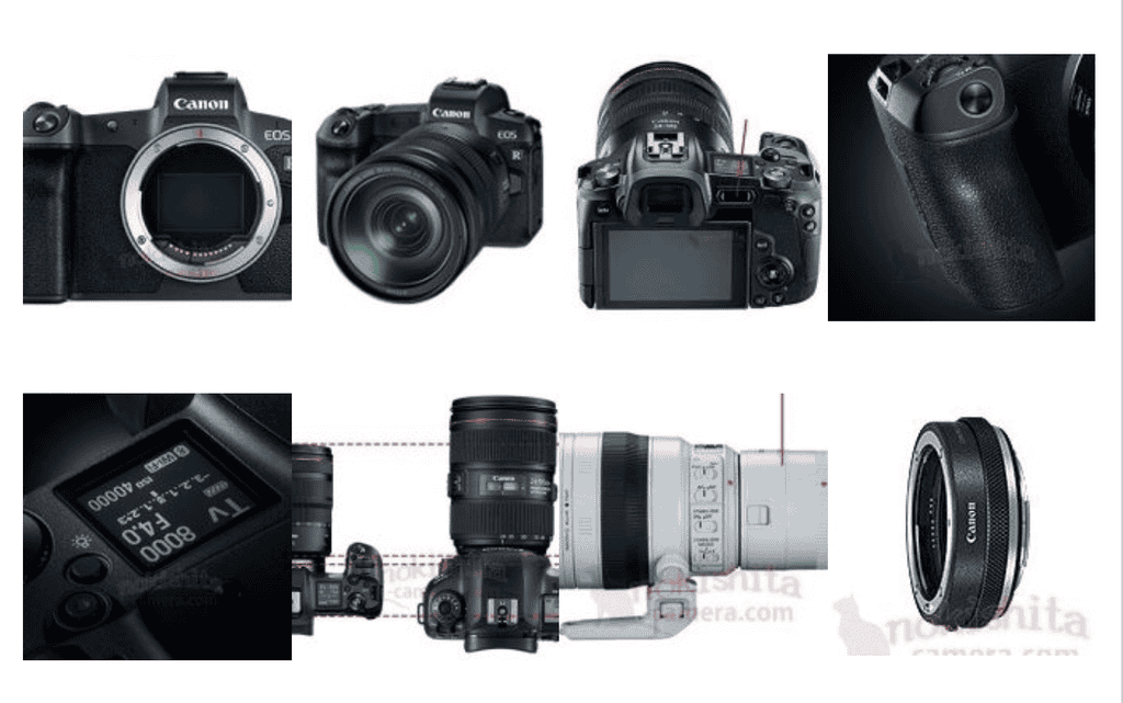 Những điểm nhấn đầu tiên của máy ảnh Mirrorless Full-frame Canon R ảnh 1