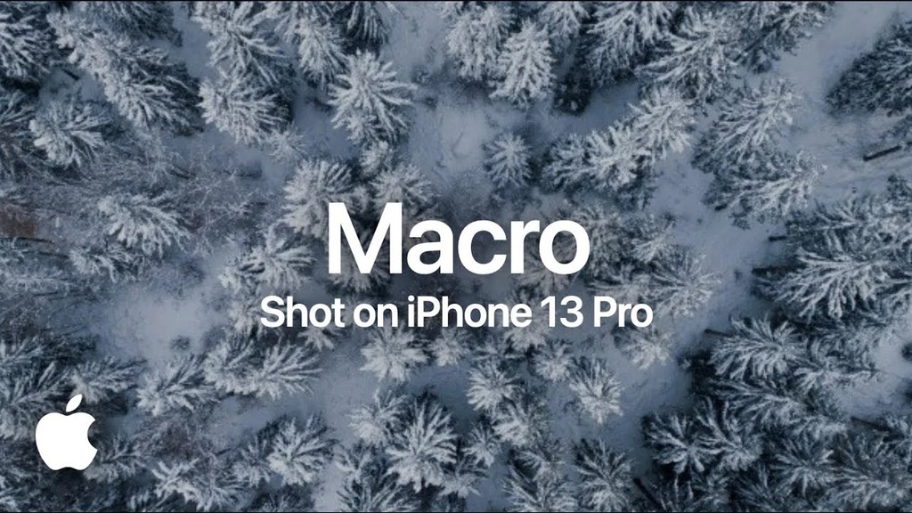Apple trao giải thử thách chụp ảnh macro 'Shot trên iPhone' ảnh 1
