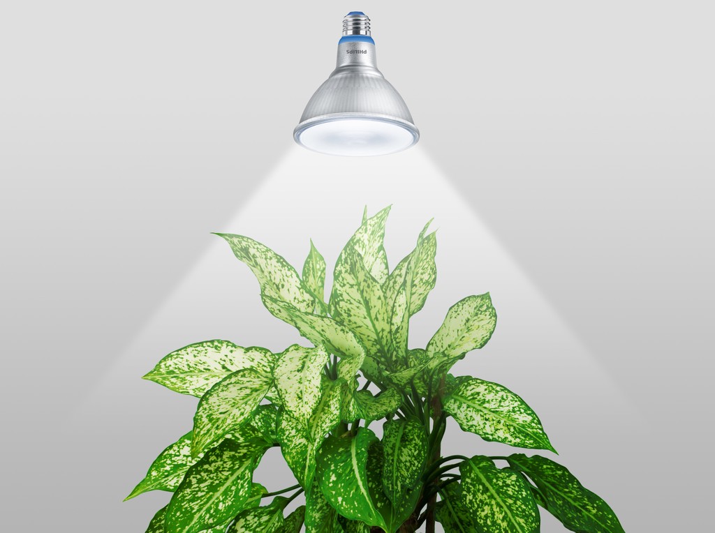 Signify ứng dụng công nghệ ánh sáng tối tân hỗ trợ phương pháp trồng cây xanh trong nhà ảnh 1