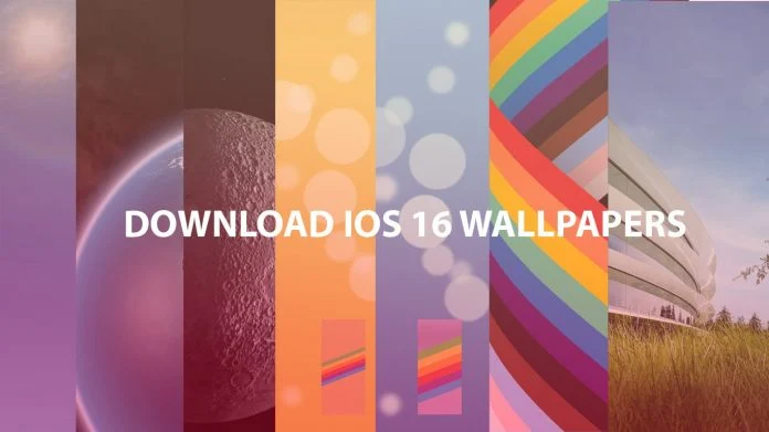 Hãy khám phá hình nền iOS 16 đầy mới lạ và tươi mới! Với các thiết kế độc đáo và bắt mắt, bạn sẽ không muốn bỏ lỡ bất cứ điều gì. Sử dụng hình nền iOS 16 để sáng tạo và tùy chỉnh thiết bị của mình với phong cách chỉ riêng bạn!