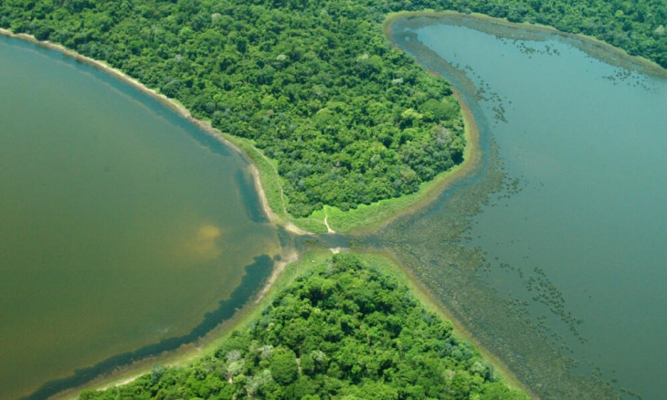 Oppo hé lộ “Pantanal”: Hệ sinh thái thông minh đa nền tảng cho các thiết bị Oppo ảnh 2